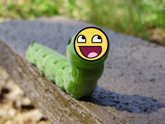 post-3-12797981231946 copy