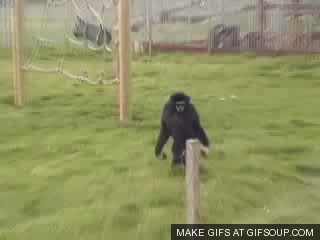 1400007163_2110526236