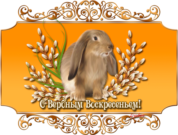 поздравление