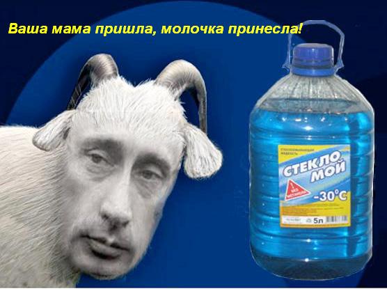 kozel_копия