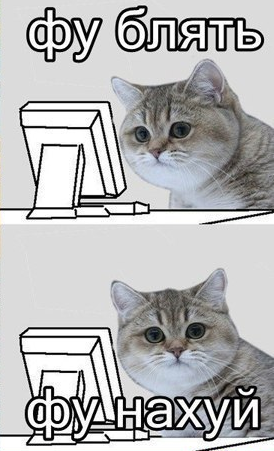 -золотая-машина-адидас-котик-284440