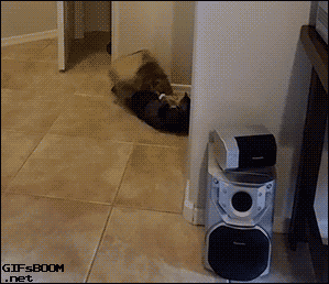 6c069ec49271d0d45cdb6c95418