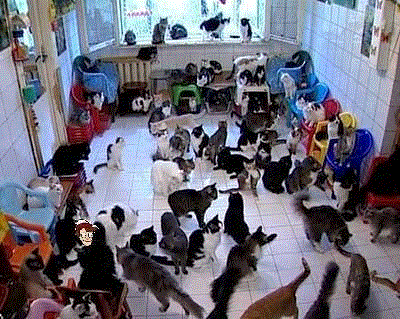 ef7b3fa2980789509ed423c9ec4137e6