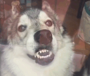 1428422524_1802002556