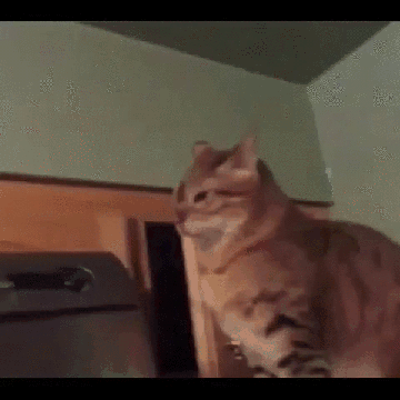 1426275390_1379470876_yapfiles.ru