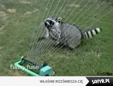 a742e89d706020cff4d743c6f40e6376_aaale-zabawa