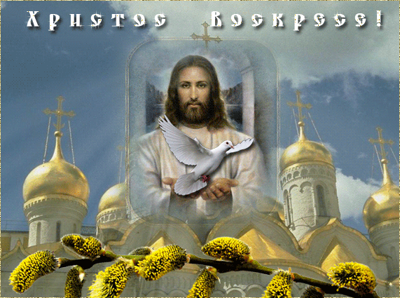 73650322_73584843_svetlaya_passha_1