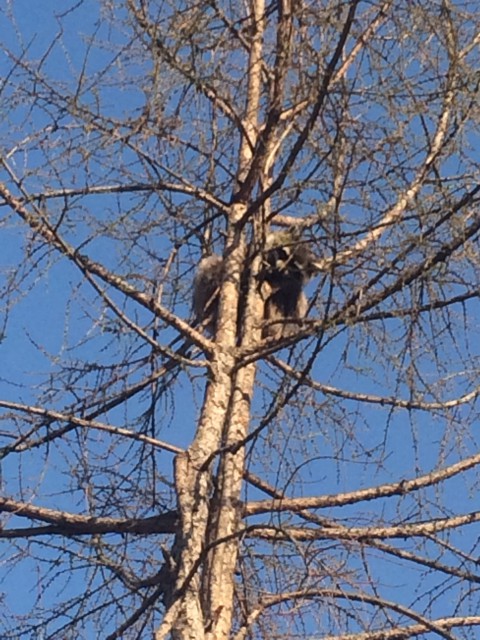 image-13-04-15-10-31-1