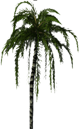 fourtrees
