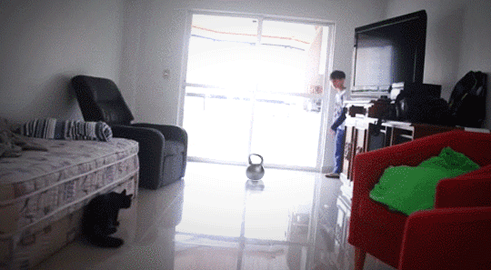 -котэ-вратарь-1736484