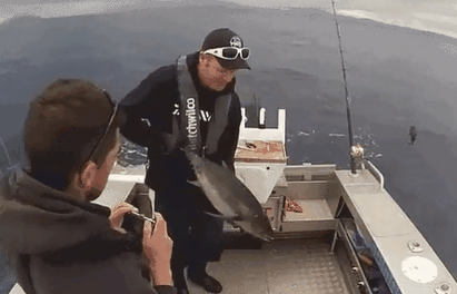 -рыбалка-тунец-рыба-пулемет-2033769