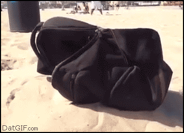 ad6f2347abbf4d2ab1eb2315484