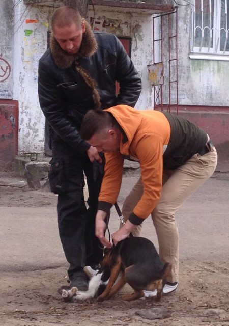 520f02e629f82203228594a8c48b4d94_XL