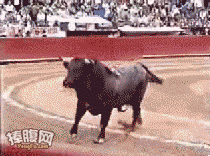 -коррида-безудержное-веселье-песочница-1534032