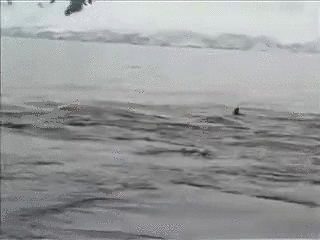 1429857017_325159038