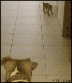 bd92d3f29fa7e16a40fe8506784