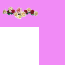 237e19130a8fc7359581ed61084732b95