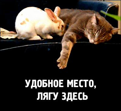 1430293551_1632300088