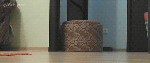 gifs_11 (4)