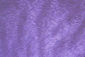 текстура дивана