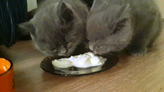 1430677069_994844798