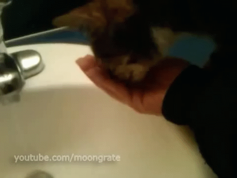 1362117097_470627438