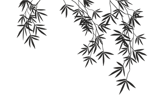 col (1)