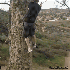 день для полётов