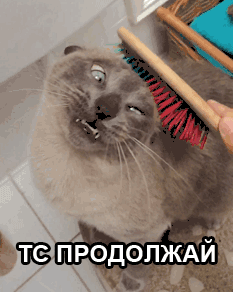 6565
