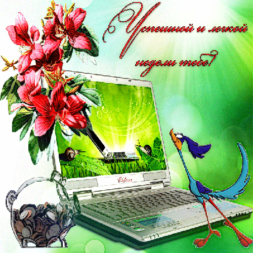 удачной недели