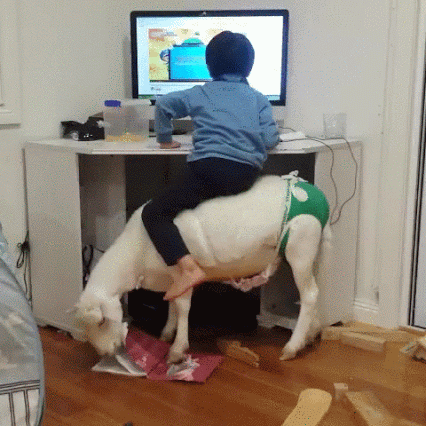 345