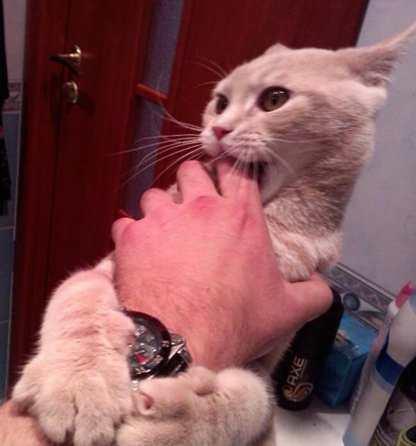 1432261537_1941356149