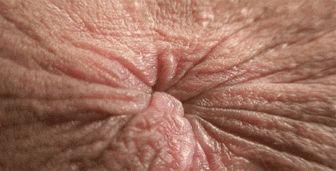 tumblr_n4fj4kOpYP1qagjnzo1_500