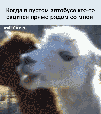1389126997_10