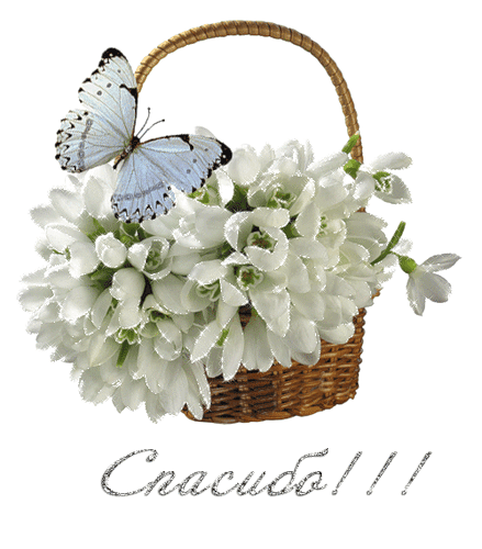 101998419_spasibo_v_korzinke