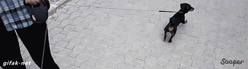 1432903924_1339458466