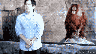 орангутанг комик