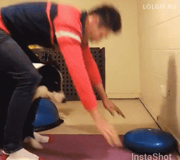 tumblr_np7zs44cva1u2jwbho1_400