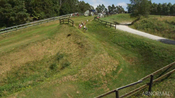 -живые-дудлы-doodles-real-life-doodles-2144577