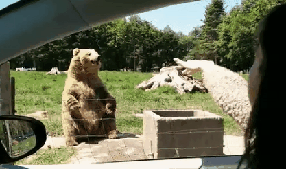 1433490190_694658457