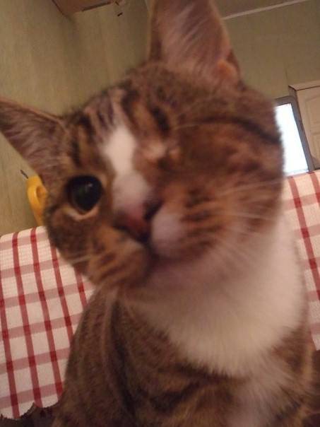 a1e80d8515d12a2117d7d2b13d4205e6