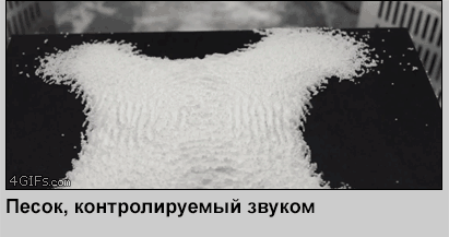 gifki-pod-katom-prodolzhenie-mnogo-gifok-bajany-2165162