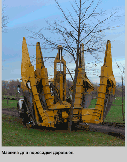 gifki-pod-katom-prodolzhenie-mnogo-gifok-bajany-2165168