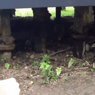 1432466460_1266859985_yapfiles.ru