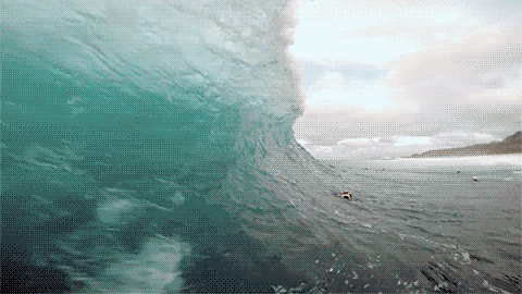 NiT_goupro_yapfiles.ru