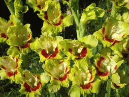 14668e8324bb6c5d6a78586492f7d523