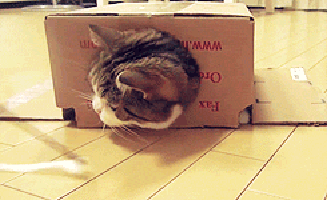 tumblr_npvwygHQJv1t95h1uo1_400