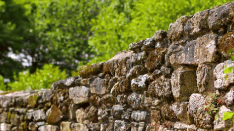 1434273181_1105804293