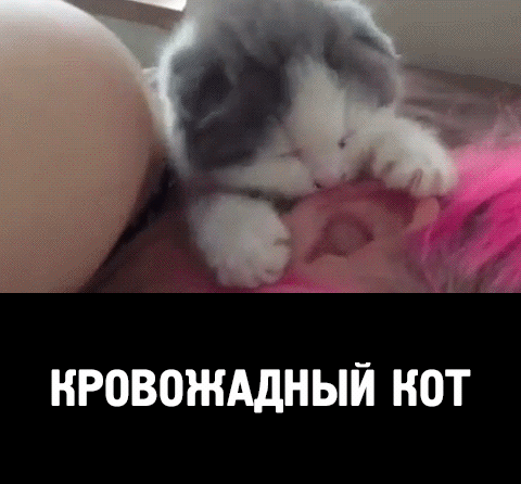 79b5dd4104769f050ca3a0be362b8914db76d15ac91b01ba8badad5f00131799_1