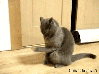 tumblr_nq4cf5LqI61slwrsuo1_400